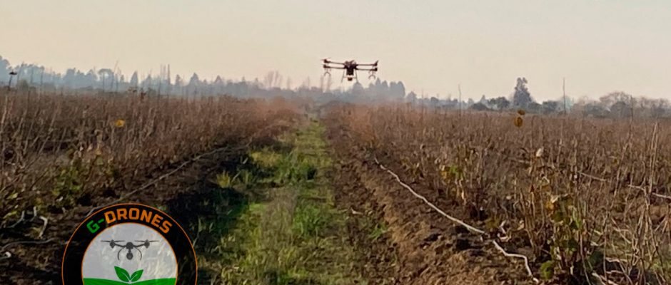Aplicaciones Fitosanitarias con Drones en la Región del Ñuble