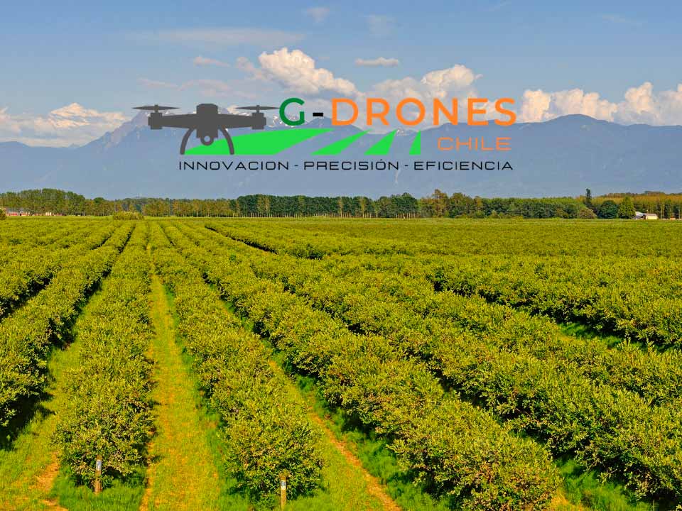 Aplicación de fitosanitarias con Drones en arándanos