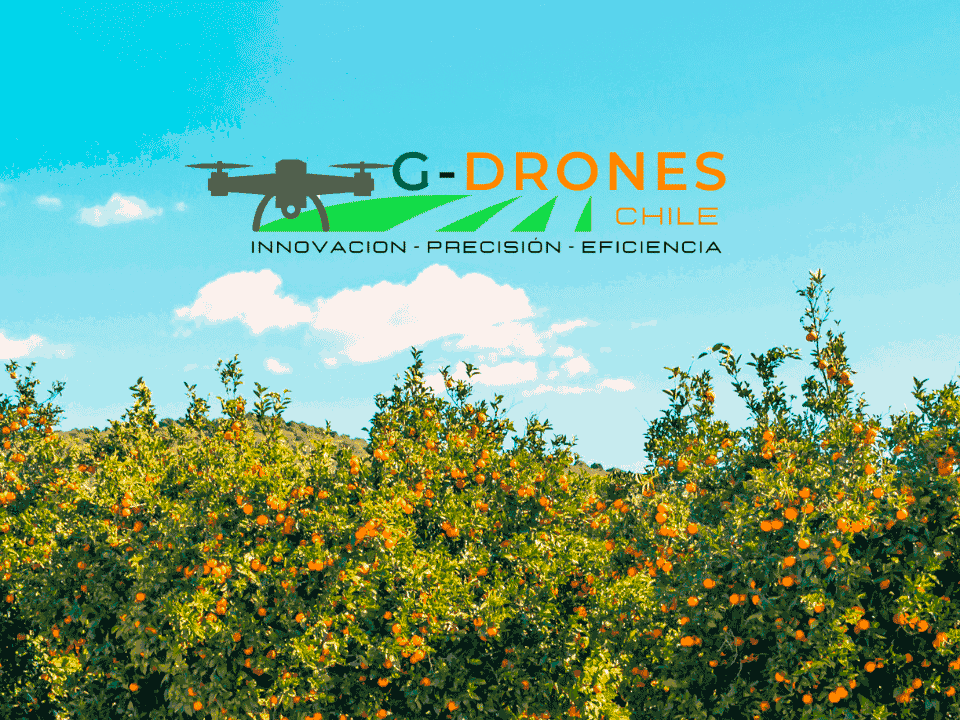 Aplicación de plaguicidas con Drones en frutales